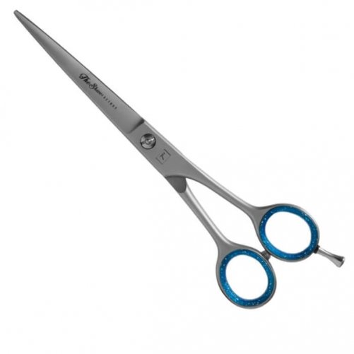 Ciseaux  cheveux Pro Style The Shave Factory