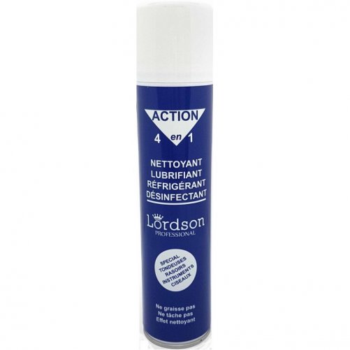 Nettoyant lubrifiant 4 en 1 LORDSON 300 ML 