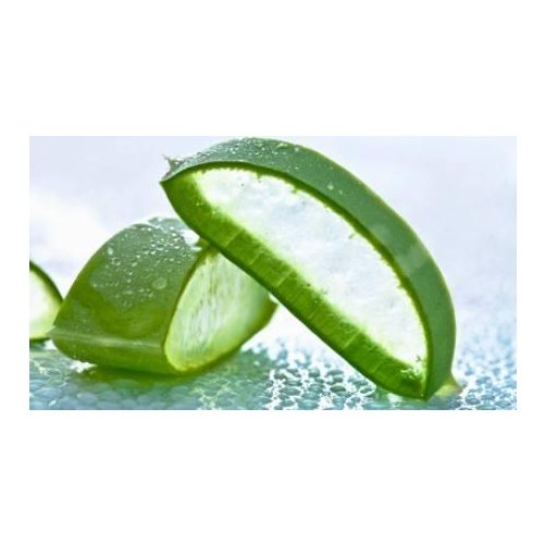 Crme  raser Aloe Vera Tube